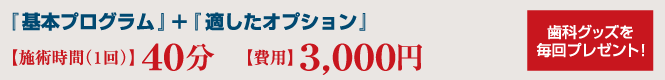 『基本プログラム』+『適したオプション』 1回40分 料金:3,000円 歯科グッズを毎回プレゼント!